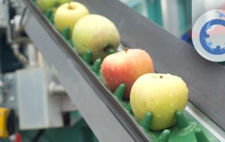 gestión de una empresa hortofrutícola