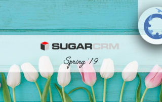 Sugar Spring '19