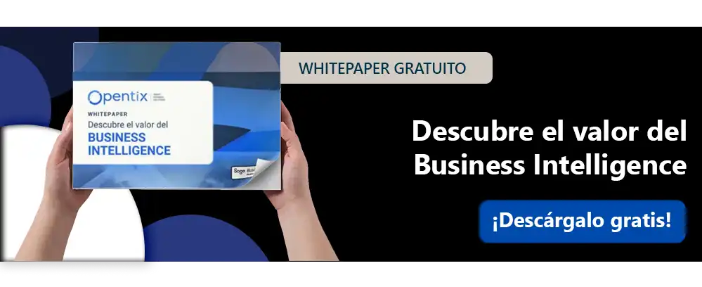 banner descarga whitepaper descubre el valor del business intelligence