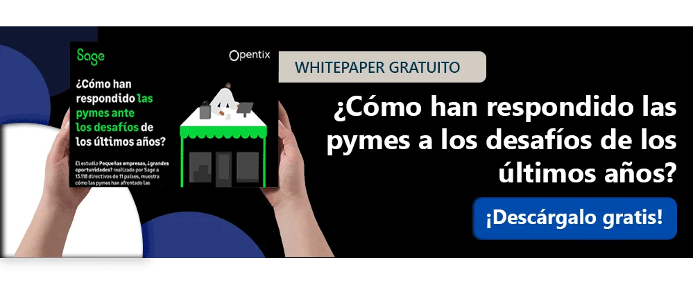banner-whitepaper-como-han-respondido-las-pymes-ante-los-desafios-de-los-ultimos-años