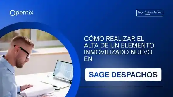 videotutorial sage despachos alta inmovilizado nuevo