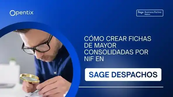 videotutorial sage despachos fichas de mayor