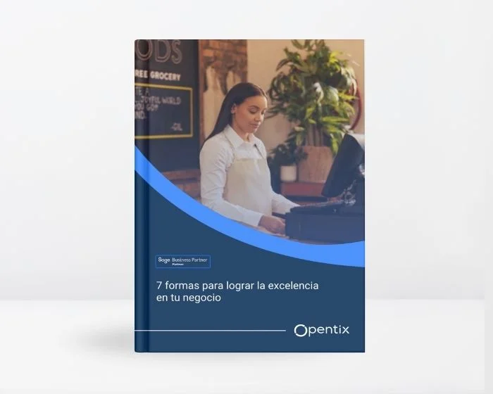 whitepaper excelencia negocio
